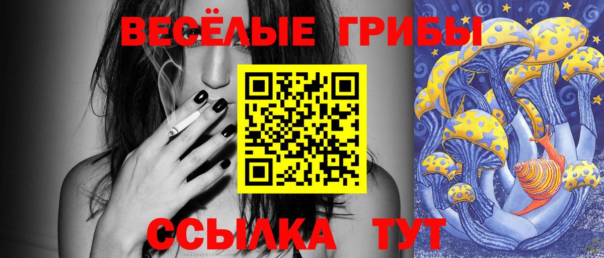 Псилоцибиновые грибы Psilocybe  Вход с VPN  Люберцы  Галлюциногенные грибы GOLDEN TEACHER 
